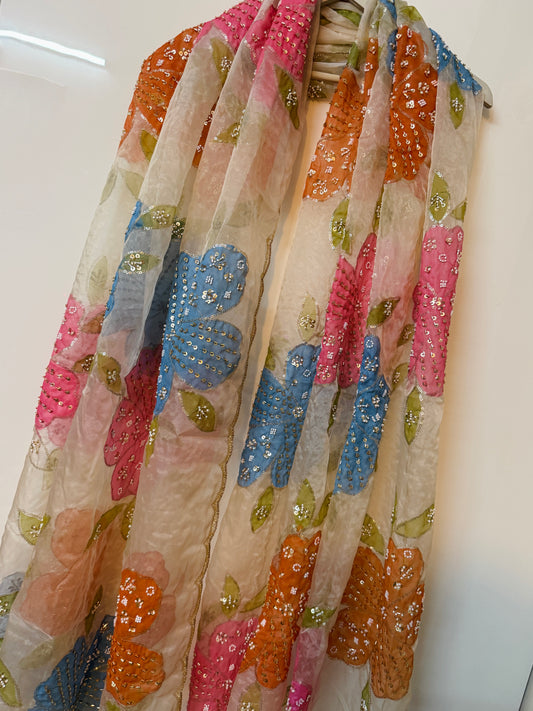 Hand-Painted Organza Dupatta – Designer Festive & Party Wear Dupatta