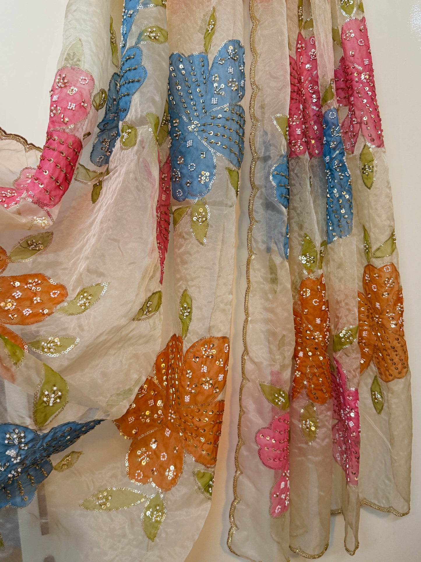 Hand-Painted Organza Dupatta – Designer Festive & Party Wear Dupatta