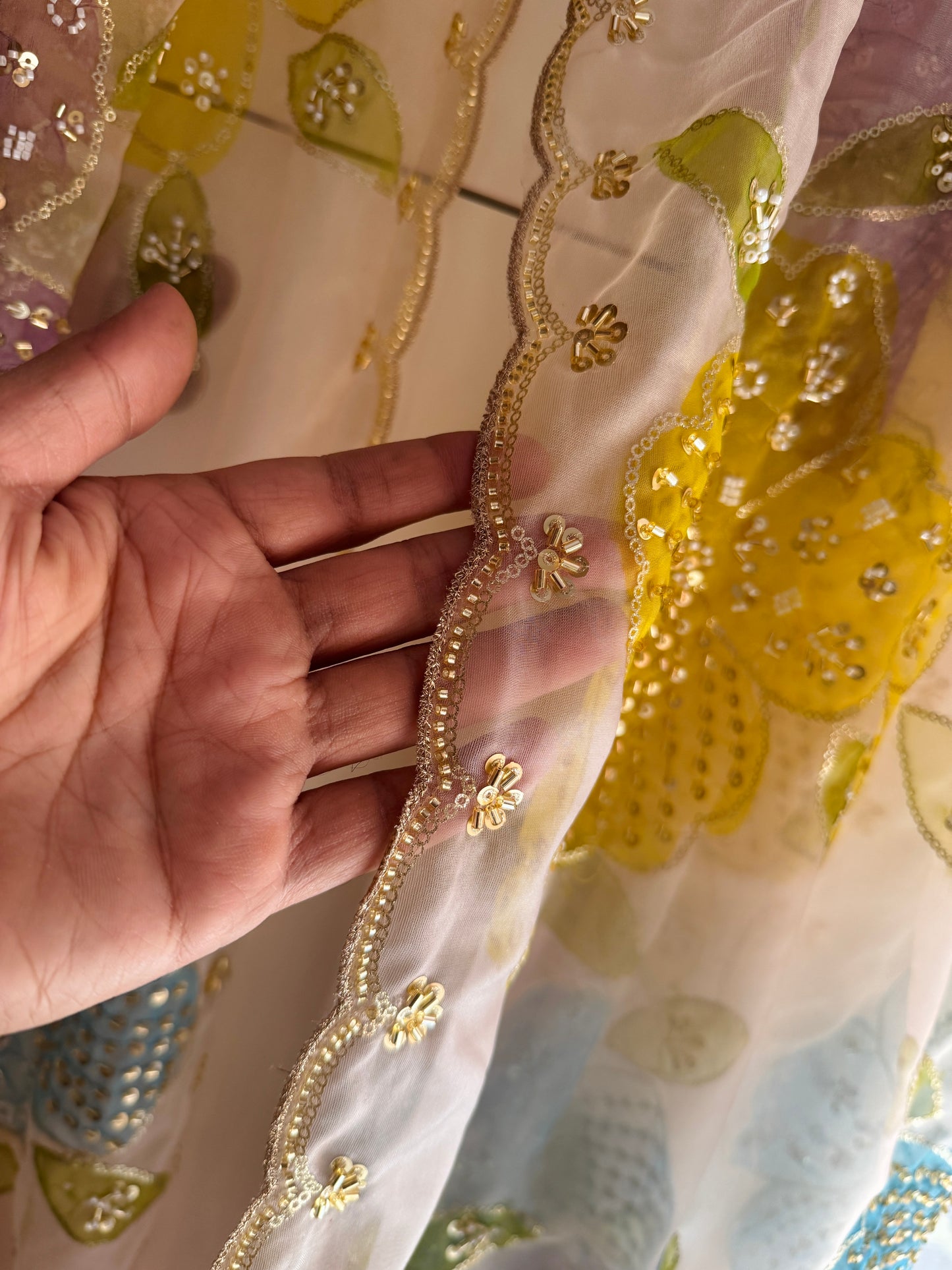 Pakistani Handpainted Organza Dupatta | Premium Soft Organza | Lightweight Partywear Dupatta